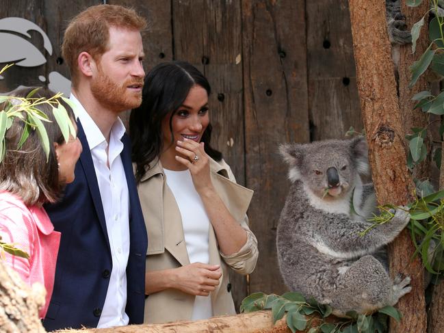 Harry and Meghan Markle during their visit to Taronga Zoo. Picture: Toby Zerna