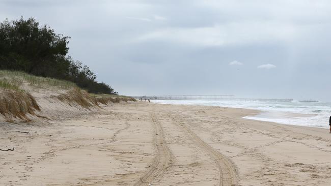 The off-leash section at The Spit — Photo: David Clark