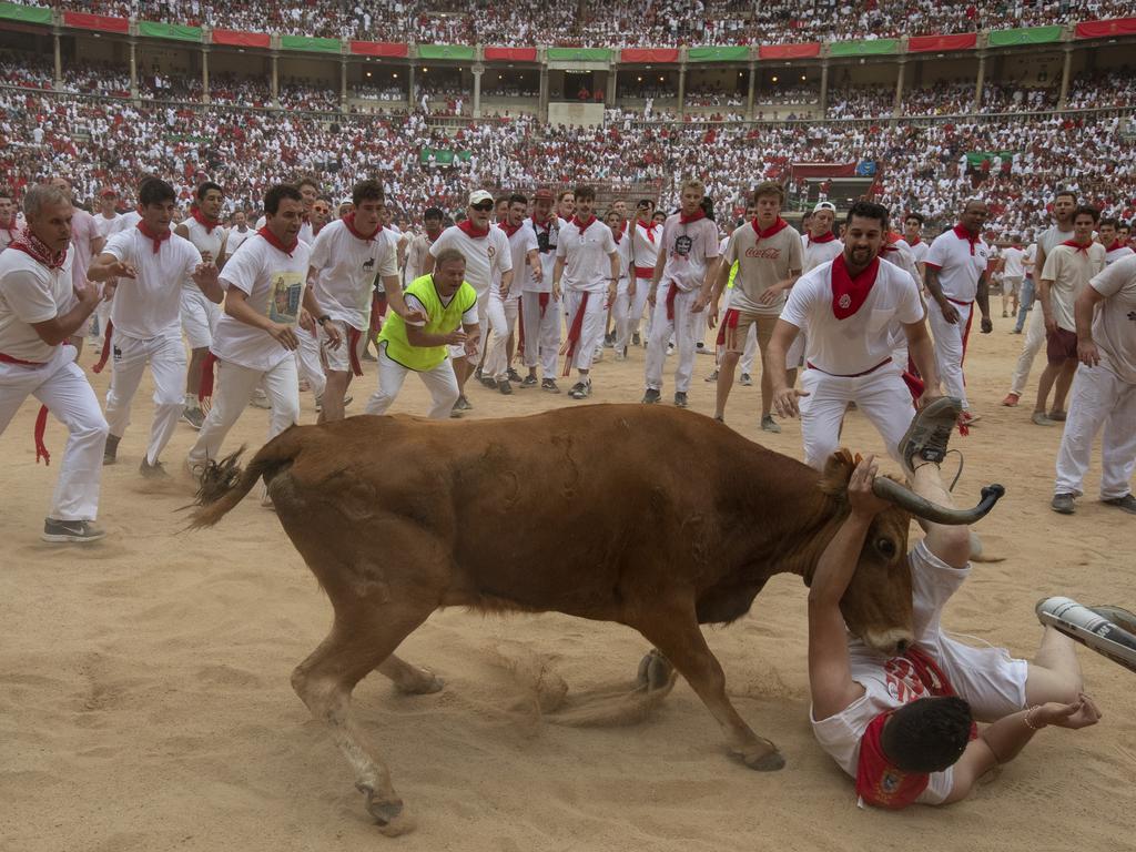 A heifer tosses a reveller in the bullring in Pamplona, Spain. Picture: Getty