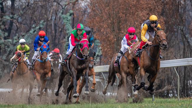 Race 3 of the Buchan Cup. Picture: Jason Edwards