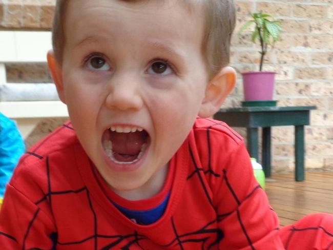 Photo showing missing child William TyrrellPhoto courtesy of NSW Police