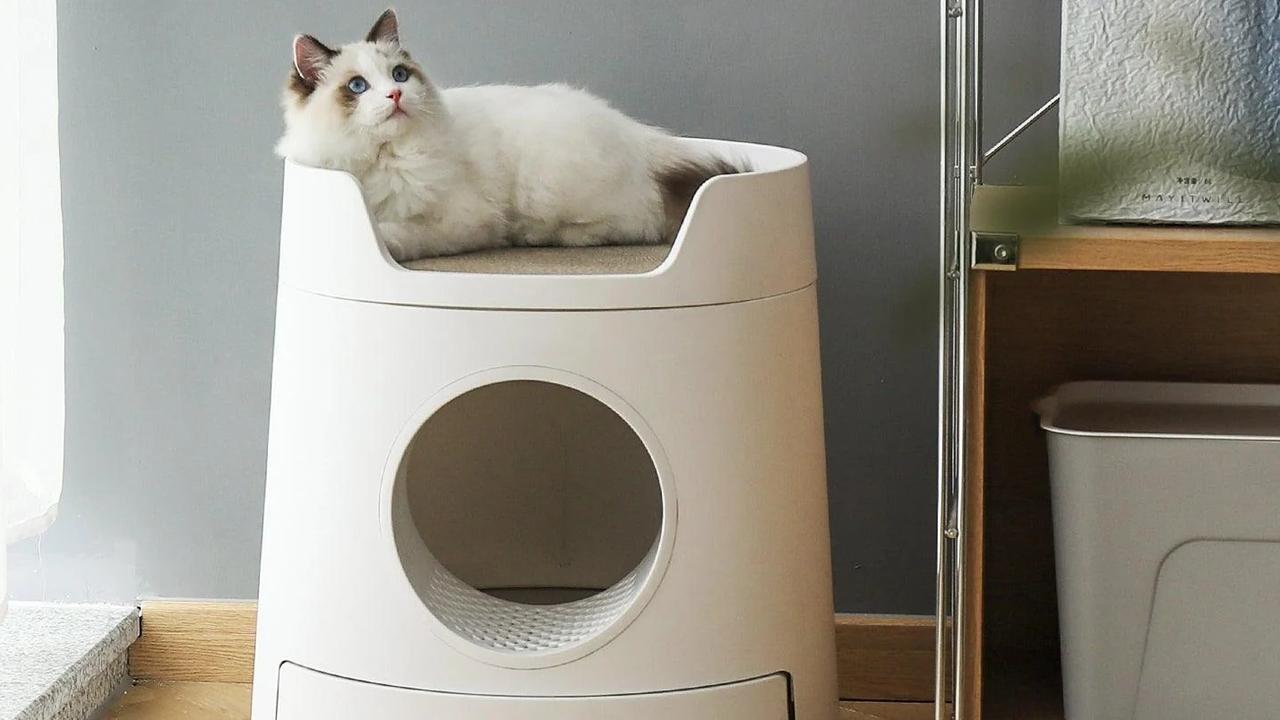 Best affordable automatic cat litter clearance box