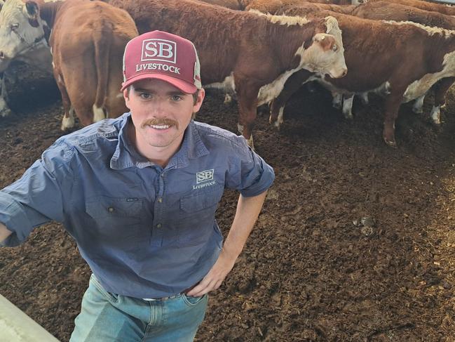 Harry Schubert from Schubert Boers at Wodonga purchased Hereford steers for $1630, or 365c/kg, to go to a bullock finisher at the Wodonga store sale.