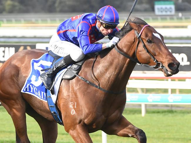 Willmott ridden by Blake Shinn wins the Club Barham 0-64 Handicap at Bendigo Racecourse on September 25, 2024 in Bendigo, Australia. (Photo by Brett Holburt/Racing Photos)