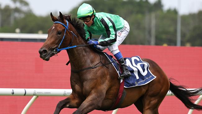 Shohisha and Kerrin McEvoy race to an easy win at Rosehill. Picture: Getty Images