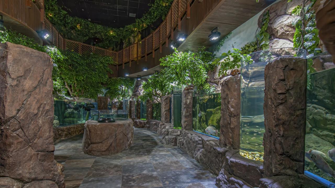 Rainforest theme at the Marassi Aquarium and Underwater Zoo in Bahrain. Photo: Advanced Aquarium Technologies.