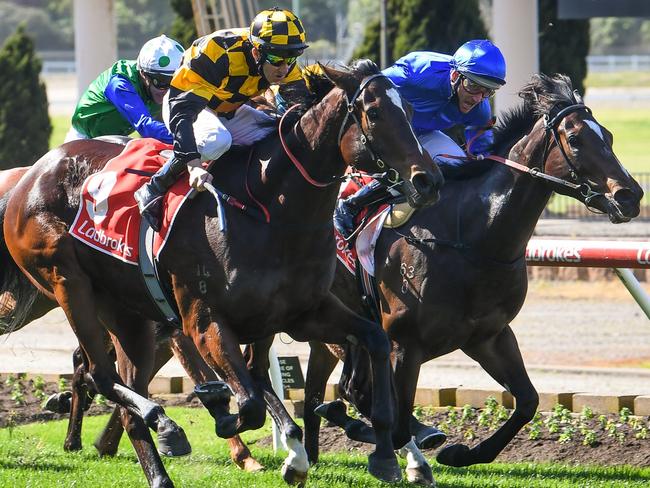 Zouzarella ridden by Brett Prebble wins the Roll The Dice Racing Plate at Moonee Valley Racecourse on August 21, 2021 in Moonee Ponds, Australia. (Reg Ryan/Racing Photos via Getty Images)