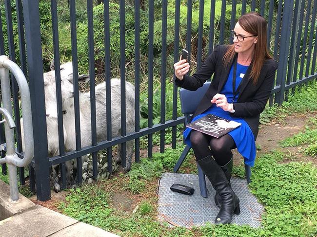 Our Lady of the Nativity Primary School Lawson principal Lisa Samojlowicz doing a Facebook LIVE post next to the school’s goats. Source: parra.catholic.edu.au