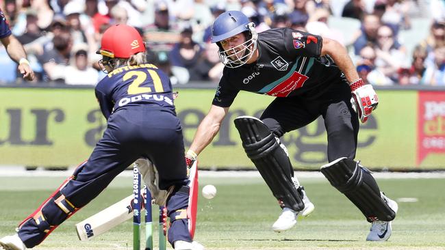 Travis Boak played a brilliant innings before a Rashid Khan direct hit had him run-out for 44. Picture: Sarah Reed