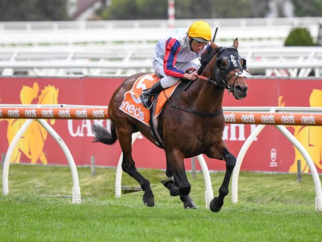 Big blow for Melbourne Cup favourite