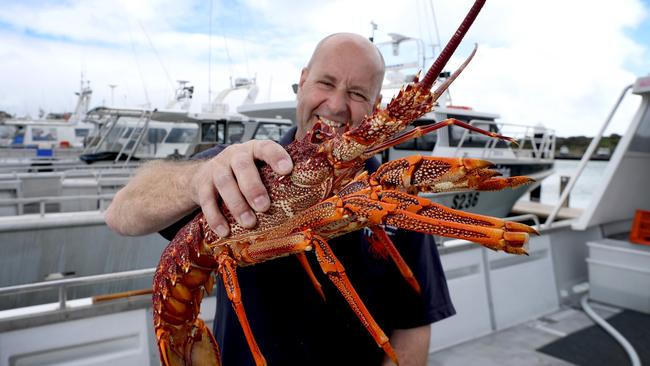 05/10/2017 Paul Regnier, professional Rock lobster fisherman on his boat at the marina in Robe with a Southern Rock Lobster at the start of the Southern Zone Rock Lobster season. Kelly Barnes/The Australian