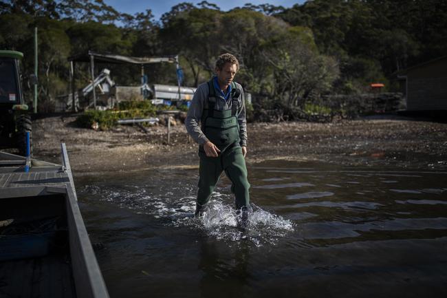 Second generation oyster farmer Dom Boyton on his way to checking his oyster pots in Millingandi, NSW. Picture by Sean Davey.