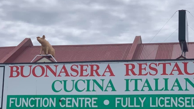 A pig has mysteriously appeared on top of Buonasera Restaurant on Glen Osmond Road overnight. Picture: Katie Spain