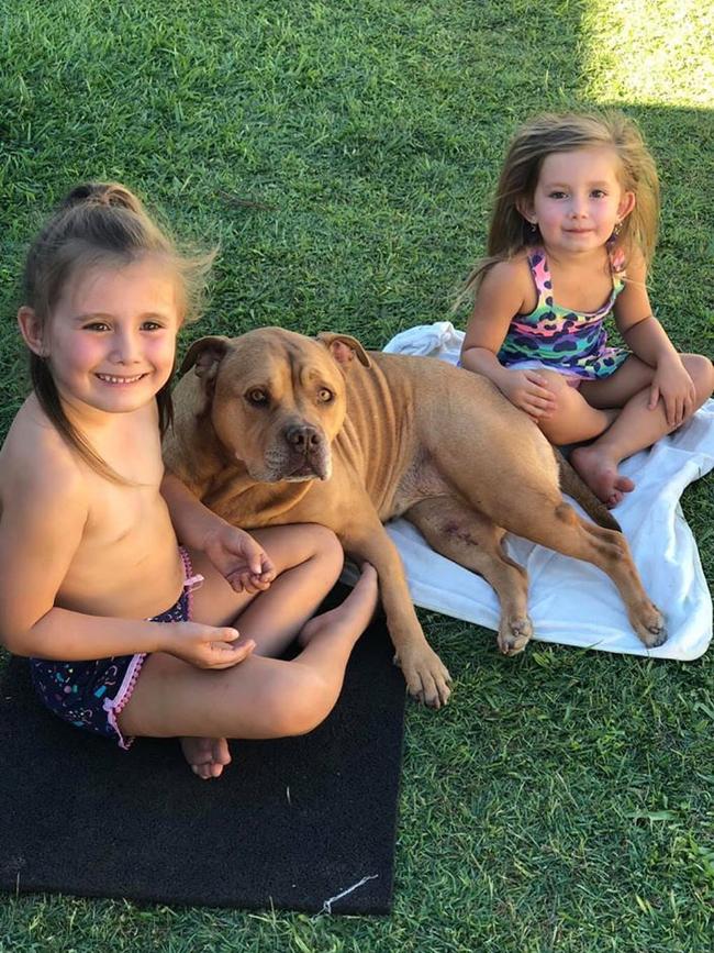 The Baxter girls who were killed in a horrific car fire at Camp Hill. Photo: Facebook