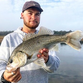 What they look like when the baby Bass grow up. Picture: News Corp.