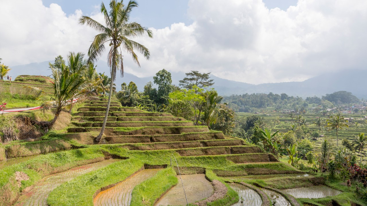 Australian woman dies in Bali on holiday after her