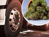 Darwin truckie caught with $180k of weed stashed in spare tyre