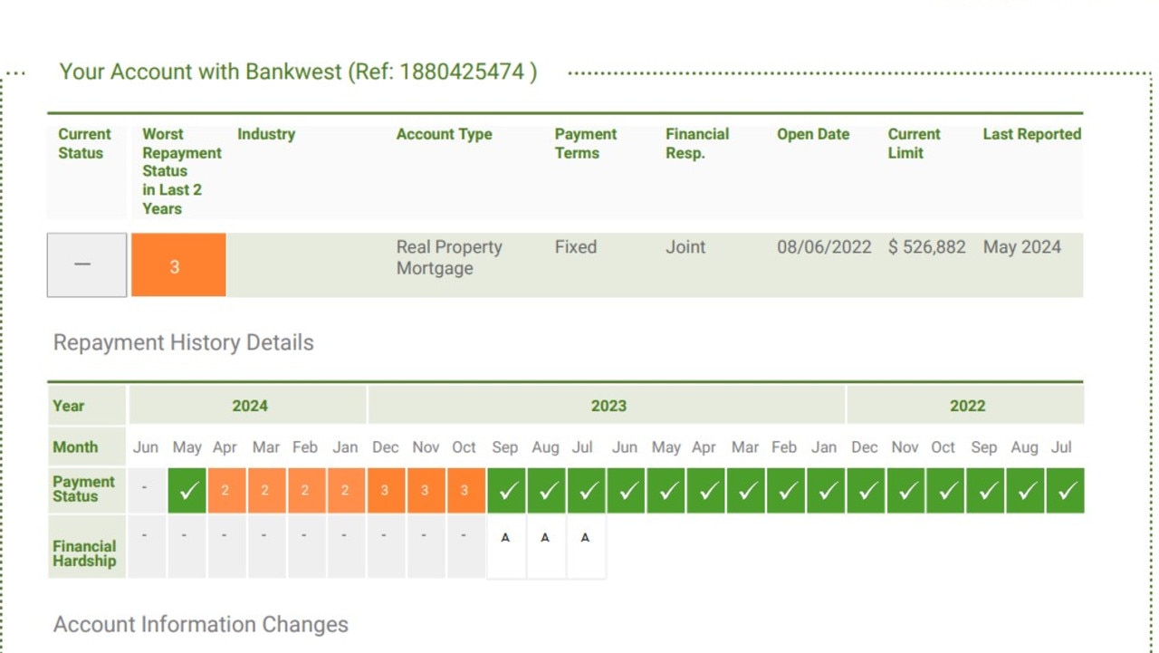 His credit report showing missed payments despite being on a payment plan from October. Picture: Supplied