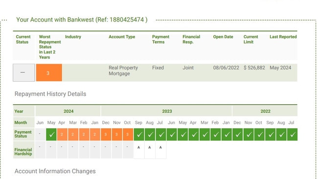 His credit report showing missed payments despite being on a payment plan from October. Picture: Supplied