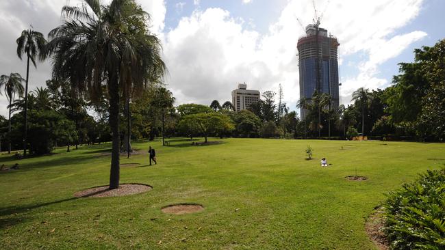 The alleged rape took place at Brisbane City’s Botanic Gardens.