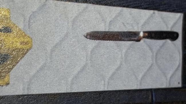 The kitchen knife used by Alexander Vossen during his murder attempt. Picture: Supplied