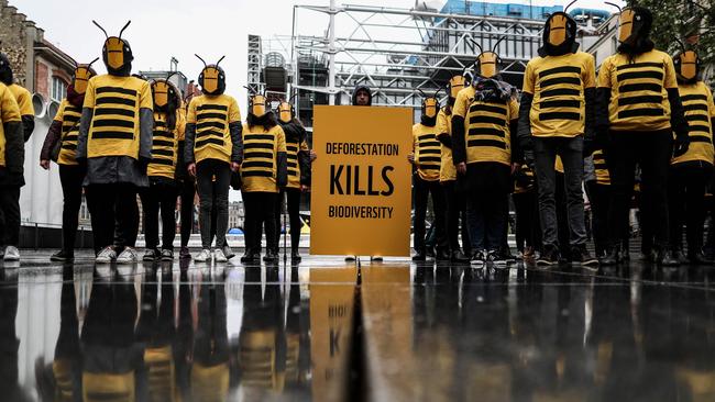 World Wildlife Fund for Nature demonstrators in Paris this month. Activists were debriefed on the UN findings as part of an attempt to set biodiversity on to an equal footing in the world politic with climate change. Picture: AFP