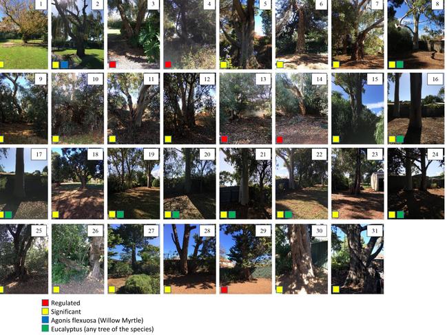 The regulated and significant trees located on a Le Cornu family property at 28 Sturt Rd, Brighton. Not all trees are currently planned to be removed. Picture: Supplied