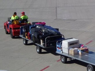 A dog in an airline-approved crate, heads to the cargo hold to board her flight in Brisbane. Picture: Jodie O'Brien