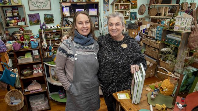 Kim Amici and Donna Lowe sell a range of unique and handmade toys. Picture: Andy Brownbill