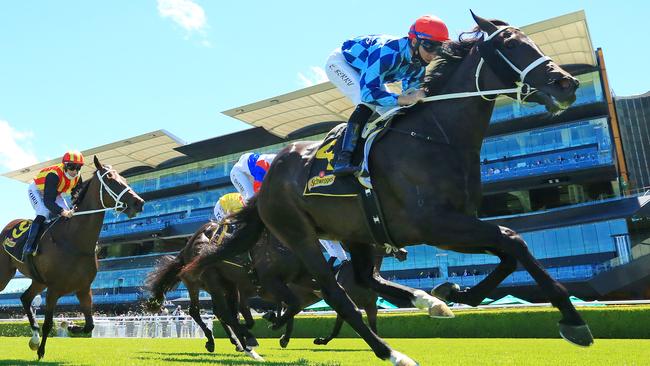 Zing is due for a change of luck. Picture: Getty Images