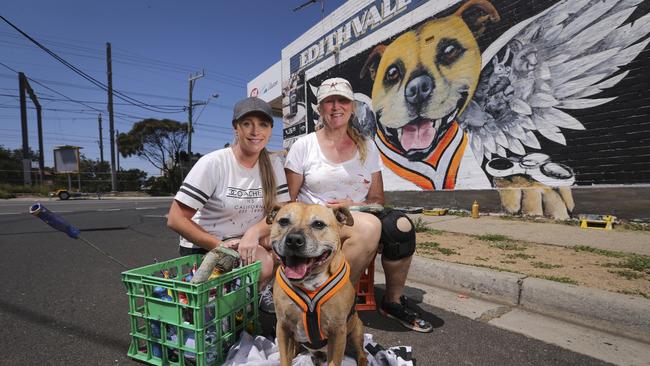 Artists Melissa Turner and Brigitte Dawson from Melbourne Murals immortalised Axle the staffy with a painting on Nepean Hwy. Photo: Wayne Taylor