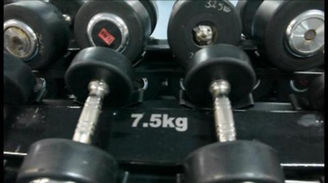 75 kg dumbbells discount olx