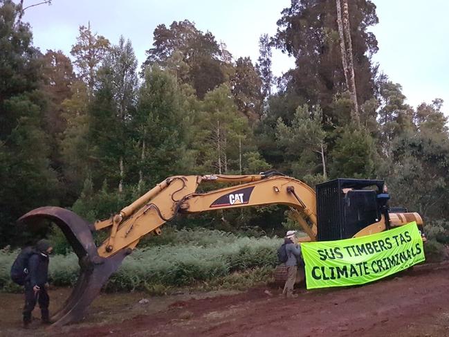 Tasmanian forest protests.