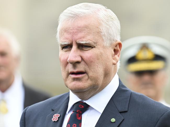 Nationals MP Michael McCormack secured 64 per cent of the vote at the last federal election. Picture: NewsWire / Martin Ollman