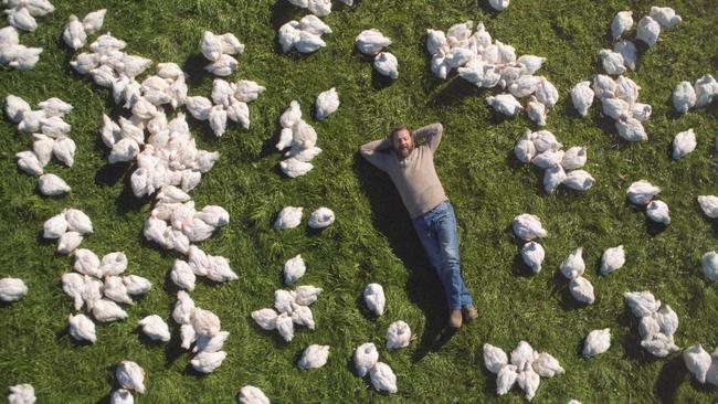 Lilydale chicken ad played on the freedom of the free range.