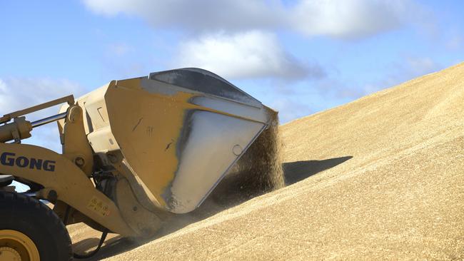 Volume reduction: An ACCC report has found just 13.2 million tonnes of bulk grain was exported during 2018-19.