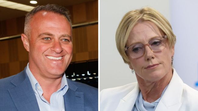Liberal Wilson reclaims Goldstein as Bandt on the brink