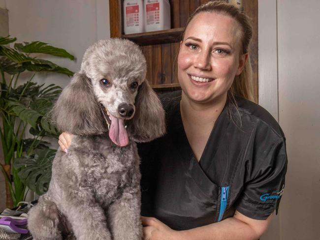 Best dog groomer of 2023 Mima Terzic, at her salon in Allenby Gardens. Pictured on November 11th 2023. Picture: Ben Clark