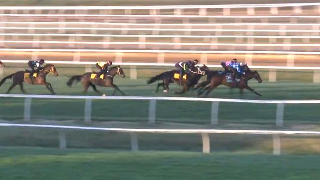 Pride of Jenni shades Antino in their Cranbourne jumpout on Monday. Picture: Screengrab