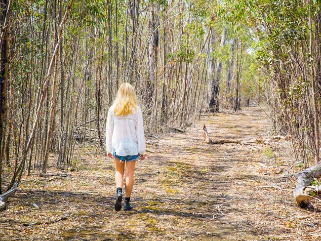 Take a walk in the Brisbane Ranges.