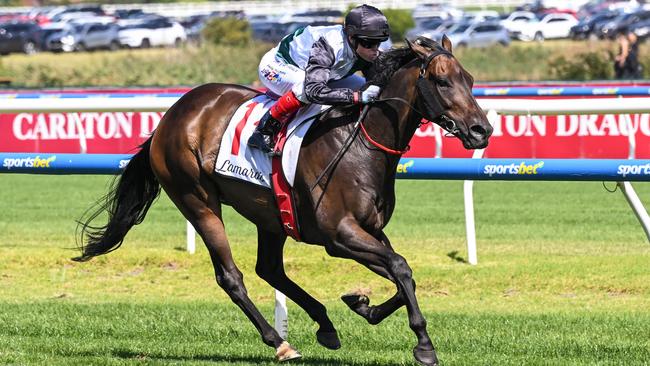 Mr Brightside wins the Futurity Stakes at Caulfield. Picture: Reg Ryan / Racing Photos