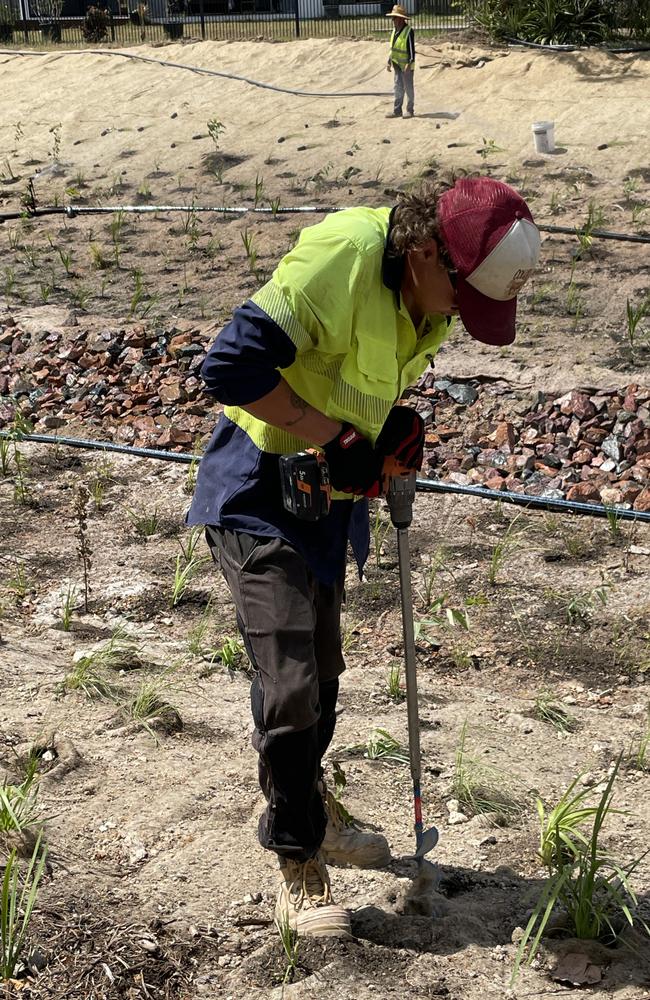 A worker drills a hole in the ground to plant one of 97,000 trees and grasses at Bushland Beach. Picture: Leighton Smith.