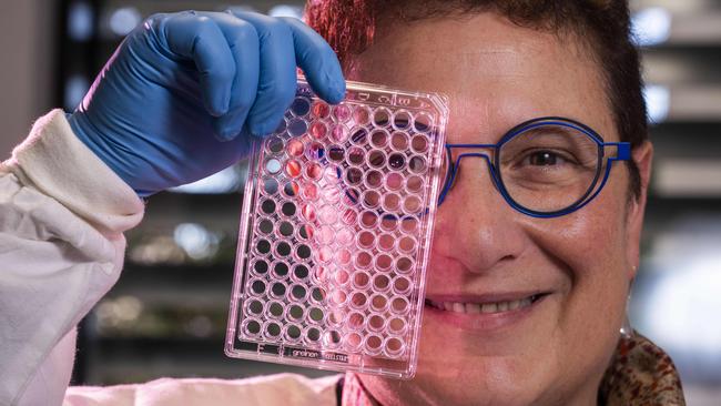 Professor Maria Kavallaris, of the Children’s Cancer Institute, says the bioprinter is useful for all different types of research and could even grow skin cells. Picture: Matthew Vasilescu