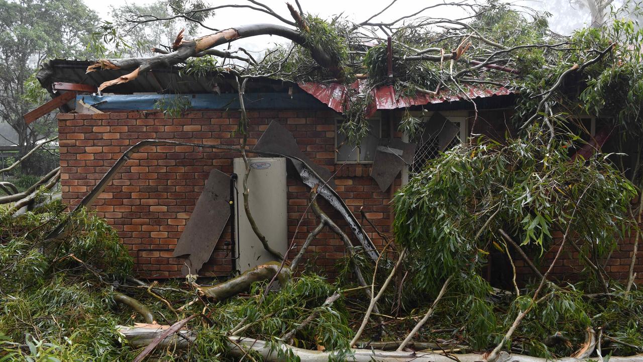 A house in Highfields is damaged by a falling in tree as the aftermath of TC Alfred at Toowoomba. Picture: Kevin Farmer