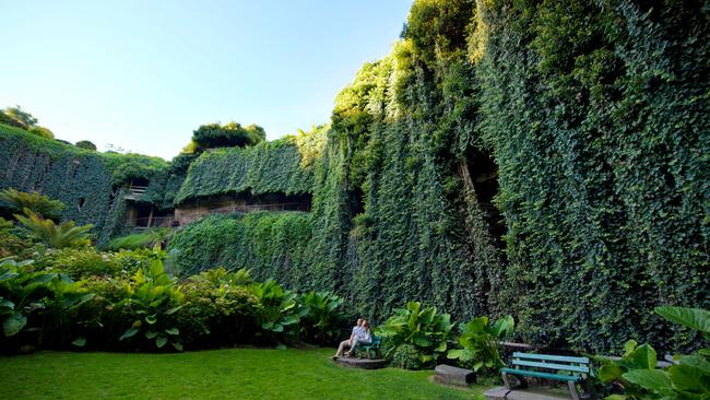 The remarkable Umpherston Sinkhole. Picture: Adam Bruzzone / Escape