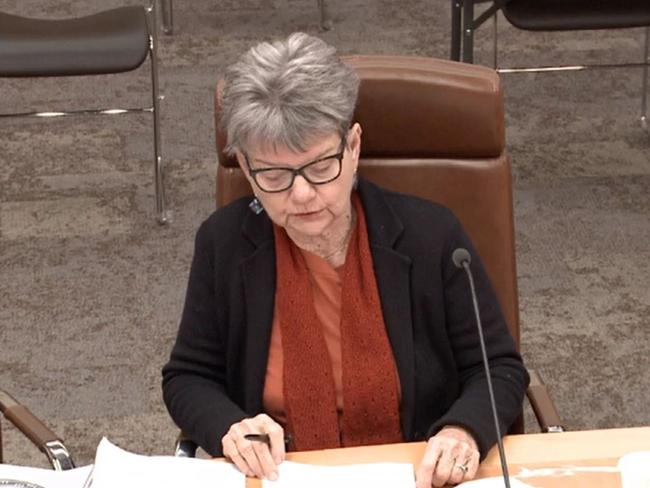 Academic Val Kitchener, who heads a Tasmanian response to the United Nations convention against torture, gives evidence to a Legislative Council inquiry into the state's prison system.