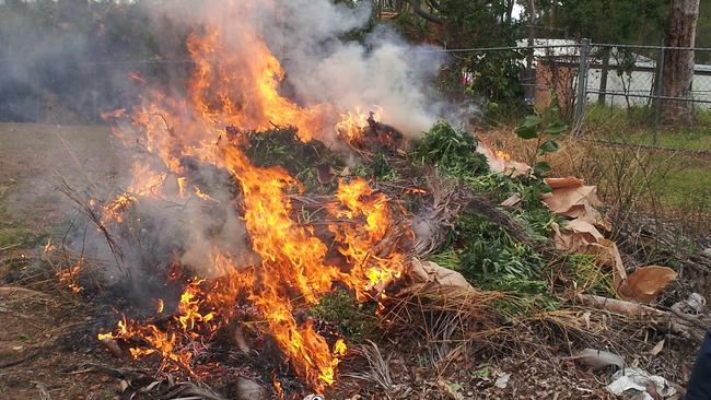 Citron Sekretær tin Marijuana fire intoxicates entire Indonesian neighbourhood | news.com.au —  Australia's leading news site