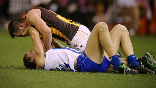 Drew Petrie and Brian Lake trade blows on the ground. Picture: Wayne Ludbey