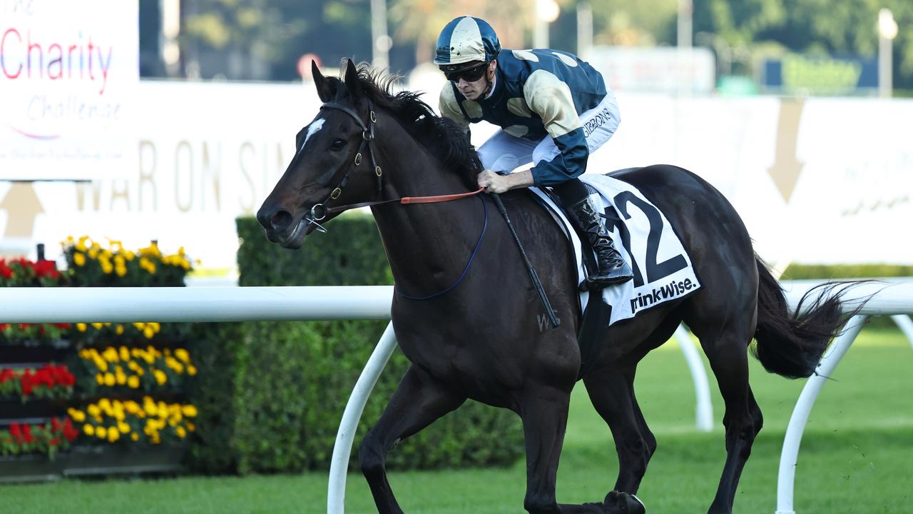 Gibbons gem lands top prize with Hollywood Hero