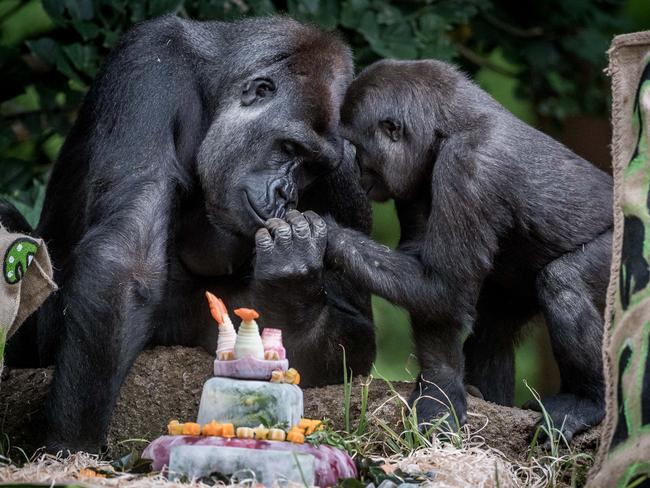 Kimya celebrating her daughter Kanji's third birthday. Picture: Jake Nowakowski